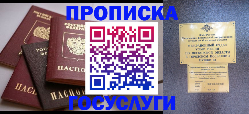 прописка поиск в Новосибирске